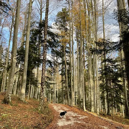 Nyaraló Cosy Countryside With Indoor Fireplace Sodrazica