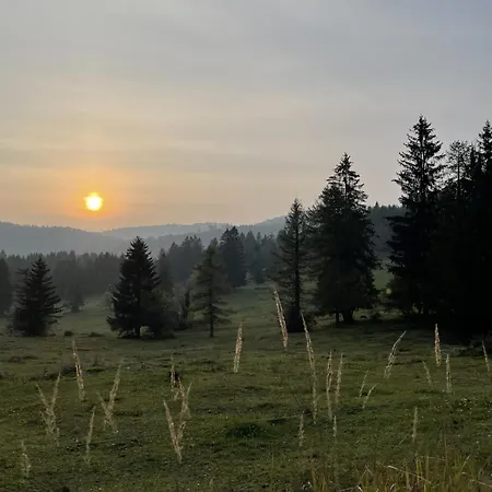 Cosy Countryside With Indoor Fireplace