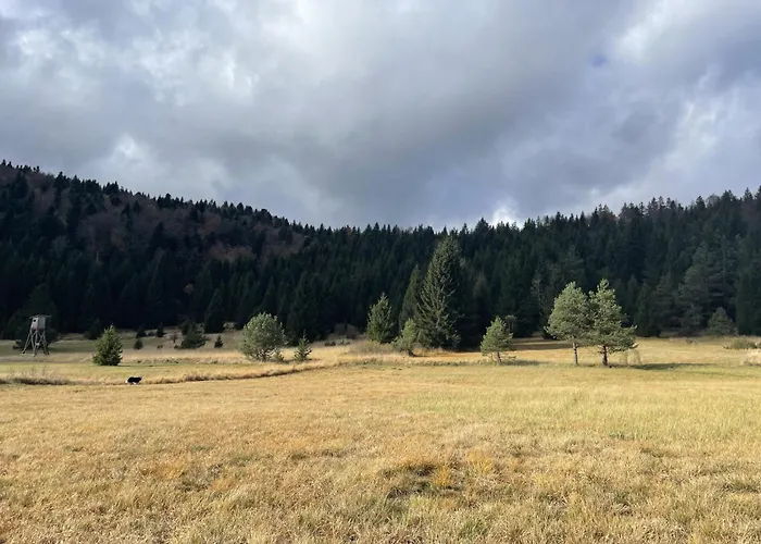 Cosy Countryside With Indoor Fireplace * Sodrazica