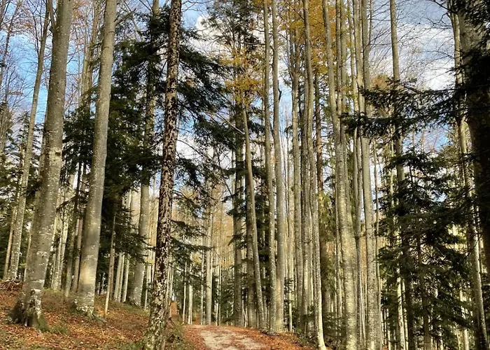 بيت للعطل Cosy Countryside With Indoor Fireplace Sodrazica